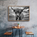 Floor Stock-Stormy the Highland Cow