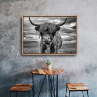 Floor Stock-Stormy the Highland Cow
