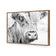 Henrietta the Highland Cow