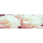 White Peony