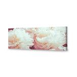 White Peony
