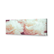 White Peony