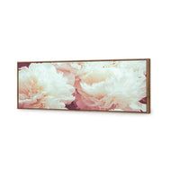 White Peony