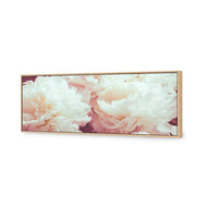 White Peony
