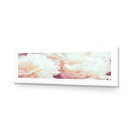 White Peony