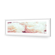 White Peony