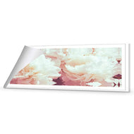 White Peony