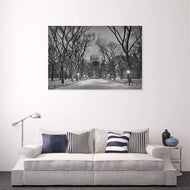 Winter In Central Park Black and White