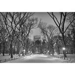 Winter In Central Park Black and White