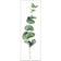 Fragrant Herb 2