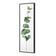 Fragrant Herb 2