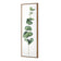 Fragrant Herb 2