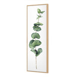 Fragrant Herb 2