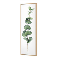 Fragrant Herb 2