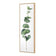 Fragrant Herb 2