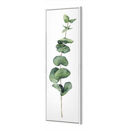 Fragrant Herb 2