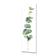 Fragrant Herb 2