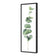 Fragrant Herb 2