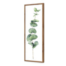 Fragrant Herb 2