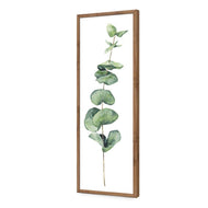Fragrant Herb 2