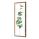 Fragrant Herb 2