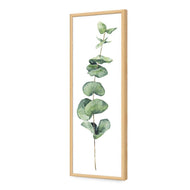 Fragrant Herb 2