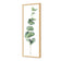 Fragrant Herb 2