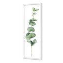 Fragrant Herb 2