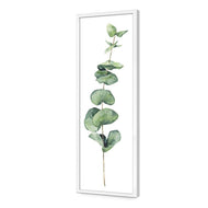 Fragrant Herb 2