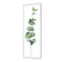 Fragrant Herb 2