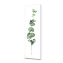 Fragrant Herb 2
