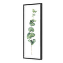 Fragrant Herb 2