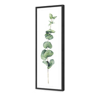 Fragrant Herb 2