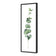 Fragrant Herb 2