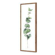 Fragrant Herb 2