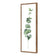 Fragrant Herb 2