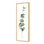 Fragrant Herb 2