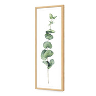 Fragrant Herb 2
