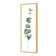 Fragrant Herb 2