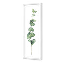 Fragrant Herb 2
