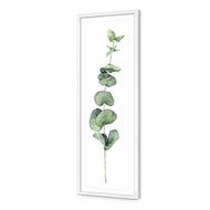 Fragrant Herb 2