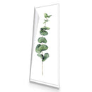 Fragrant Herb 2