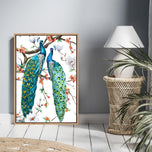 Floor Stock-Peacock Magic