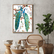 Peacock Magic (stock)