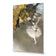 The Star - Edgar Degas