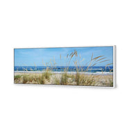 Portuguese Dunes
