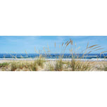 Portuguese Dunes