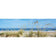 Portuguese Dunes
