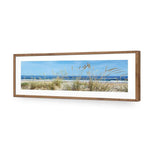 Portuguese Dunes