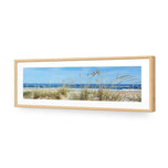 Portuguese Dunes